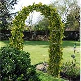 from Kingfisher Rose Garden Arch
