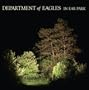 In Ear Park [Vinyl]