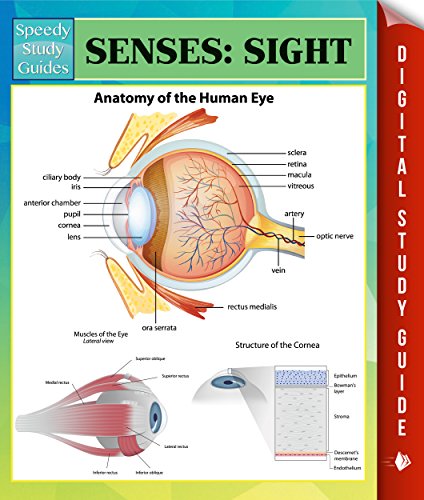 Senses: Sight Speedy Study Guides (Brain Rules Edition)
