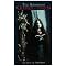 My Tarot Deck Favorites