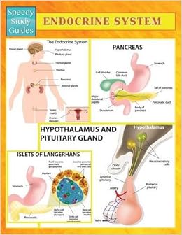 Endocrine System (Speedy Study Guides): 9781633833623: Medicine