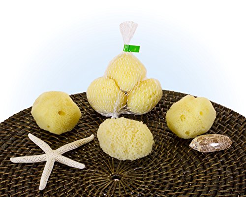 natural sponge White sea Double Sponges, makeup Sponges & Benair  applicator Wedges   Puffs, Makeup Blenders