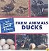 Farm Animals Ducks (21st Century Junior Library)