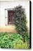 Mission Window with Purple Flowers Vertical Canvas Print / Canvas Art - Artist Carol Groenen