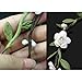 Elegant Bohemian Style Wedding Bride Bridal Headdress Floral Flower Garland Headwear Headbands
