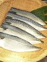 にんにく王国 和の郷の【★新鮮・肉厚・皮までおいしい★八戸前沖さばフィレー(2切)】3パック