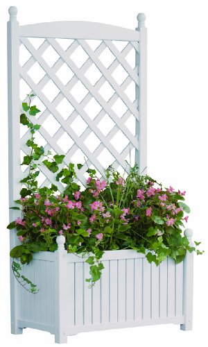 DMC Products Lexington 28-Inch Rectangle Solid Wood Trellis Planter Hunter Green