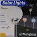 Westinghouse Solar Powered Color Changing Landscape Light 4 Pk