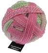 Schoppel-Wolle Zauberball St�rke 6 2079_ durch die Blume VE: 150g