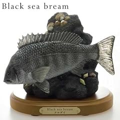 クロダイ