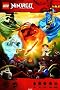 Ninjago 61 x 91.5 cm