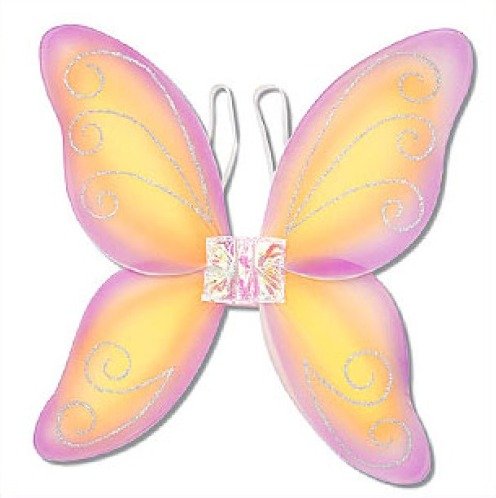 Orange & Lavender Fairy Wings