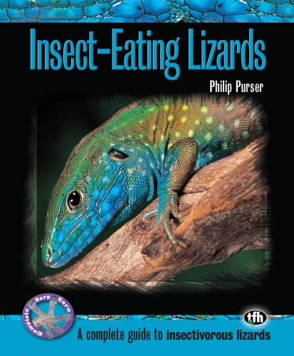 Insects