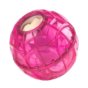 51 HT3ip1tL. AA300  Play and Freeze Ice Cream Maker (Ice Cream Ball)