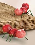 Review Online Discount Mart  / Cherry Ant Salt and Pepper Shakers