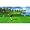 Wii Sports Resort