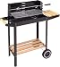 Holzkohle-Grill