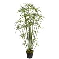 Potted Giant Papyrus Faux Tree-6'