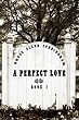A Perfect Love: Book One