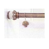 Florentine Gold Seaside Seashell By Carnation
