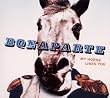 My Horse Likes You