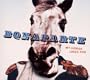 My Horse Likes You