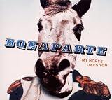 My Horse Likes You