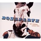 My Horse Likes You