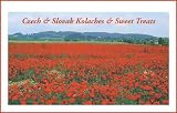 Czech & Slovak Kolache Recipes & Sweet Treats