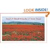 Czech & Slovak Kolache Recipes & Sweet Treats
