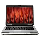 Toshiba Satellite L45-S7419 15.4-inch Laptop (Intel Pentium Dual Core Processor T2310, 1 GB RAM, 80 GB Hard Drive, Vista Premium)
