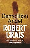 Demolition angel