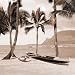 Paradise Found II Art Print Poster By Victor Giordano, 12 " x 12 "