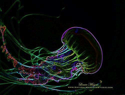 Graphic Jelly Fish Mouse Pad