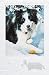 Border Collie Boxed Christmas Cards - 16 Cards & 17 Envelopes