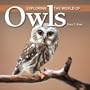 Exploring the World of Owls