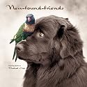New-found-friends