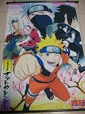 Naruto: NarutoGroup w/ Cherry Blossom 60x90cmWallscroll