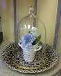 Glass Dome Bell Jar Cloche Terrarium with Delicate Daisies Dish Base