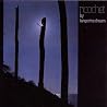 Bild des Albums von Tangerine Dream