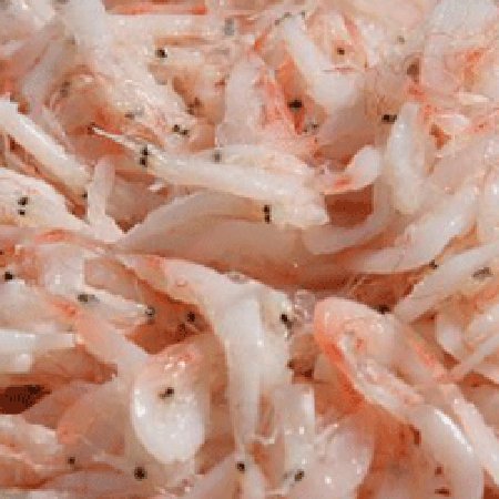 アミの塩辛1kg