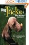 Dog Tricks: Step by Step