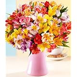 100 Blooms of Peruvian Lilies