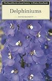 Delphiniums