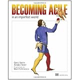 becoming agile in an imperfect world