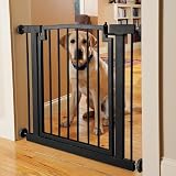 Wrought-iron Door Frame Gate / Hallway, , Large