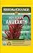 Seeds of Change S13444 Certified Organic Hopi Red Dye Amaranth