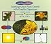 Learning About Plant Growth With Graphic Organizers (Graphic Organizers in Science)