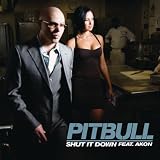 Shut It Down [Explicit]