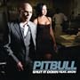 Shut It Down [Explicit]